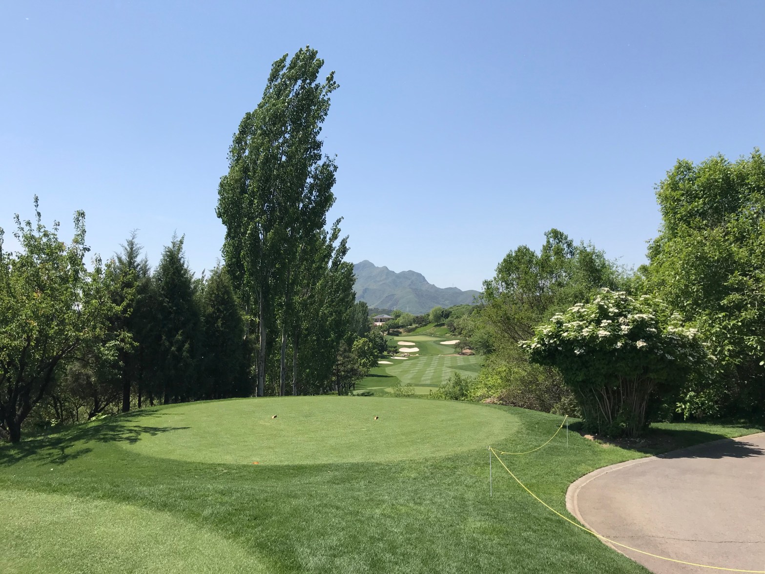 2019 Beijing Championship